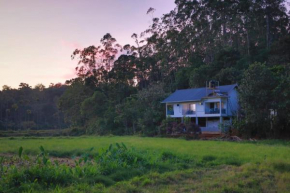 Nature Villa Munnar